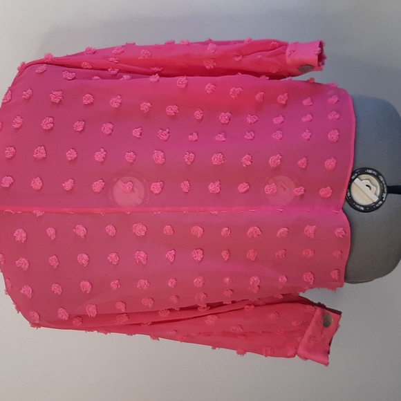 Xs pink sheer Zara shirt - Picture 2 of 5